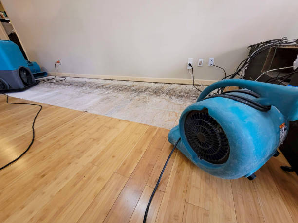 Professional Structural Drying technician working in Mingo, IA